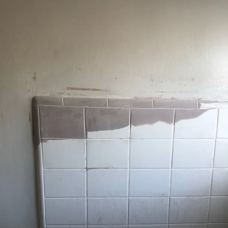 A tile wall with the top row of tile missing and the bare wall showing above it.